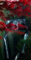 /album/viragok/a10410616-869893659687659-2723706576469646426-n-jpg/
