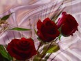 /album/viragok/a10806402-768293003250364-3741480188550274849-n-jpg/