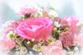/album/viragok/a10897124-719721218134725-8149409532948459715-n-jpg/