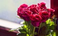 /album/viragok/beautiful-bouquet-pink-roses-2880x1800-jpg/