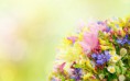 /album/viragok/bouquet-of-spring-flowers-fresh-perfume-2880x1800-jpg/