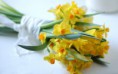 /album/viragok/yellow-daffodil-bouquet-spring-flowers-2880x1800-jpg/