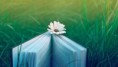 /album/abstract/a-flower-between-the-pages-of-a-book-on-the-grass-2560x1440-jpg/
