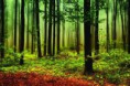 /album/termeszet/a1004552-678791078902556-7373813800539933217-n-jpg/