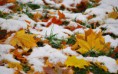 /album/termeszet/a1395374-680283355419995-5435447482213053478-n-jpg/