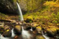 /album/termeszet/a10426084-1571020909797892-3970506514872148701-n-jpg/