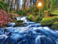 /album/termeszet/a10448786-1552603458288786-2476298302545252086-n-jpg/