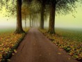 /album/termeszet/a10645000-666201256828205-3319797612306091119-n-jpg/
