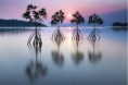 /album/termeszet/a10801501-1573612629538720-7805195974771937207-n-jpg/