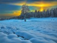 /album/termeszet/a10806353-615162805254357-8445470165294817523-n-jpg/