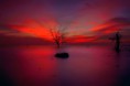 /album/termeszet/a10849813-1576223609277622-6277451658335696961-n-jpg/