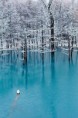 /album/termeszet/a10849853-678795562235441-3374242512147050339-n-jpg/