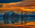 /album/termeszet/a10858632-390501304447979-1211103864824997297-n-jpg/
