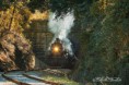 /album/termeszet/a10868111-686791191435878-7239888518306094526-n-jpg/