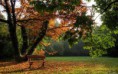 /album/termeszet/a10906288-617376108366360-7722598973841863547-n-jpg/