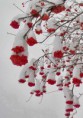 /album/termeszet/a10929236-878968552159562-7969065534118601522-n-jpg/