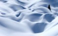 /album/termeszet/a-tree-alone-among-the-dunes-of-snow-2880x1800-jpg/