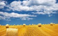 /album/termeszet/bales-of-hay-sunny-days-2880x1800-jpg/