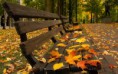 /album/termeszet/beautiful-autumn-leaves-on-the-benches-in-the-park-2880x1800-jpg/