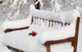 /album/termeszet/beautiful-red-rose-left-on-the-white-snow-hd-wallpaper-2880x1800-jpg/