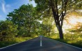 /album/termeszet/the-way-to-the-sea-summer-time-2880x1800-jpg/