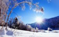 /album/termeszet/tree-bent-under-the-weight-of-snow-hd-wallpaper-2880x1800-jpg/
