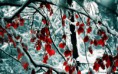 /album/termeszet/tree-branches-covered-with-snow-winter-time-2880x1800-jpg/