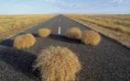/album/termeszet/tumbleweed-on-the-road-2880x1800-jpg/